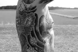 Tatuagem na Costela: Mitos e Verdades Sobre a Dor Tatuagem na Costela: Mitos e Verdades Sobre a Dor