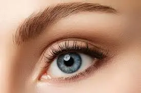 Microblading e Micropigmentação: Qual Deles é o Melhor? microblading e micropigmentacao